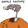 dunkleanatomygif.gif
